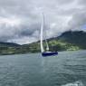 IMG_4383.JPG_compressed.JPEG