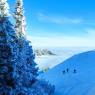 IMG_20230129_100338.jpg
