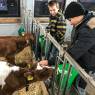 Internat Diapason Berufswahl