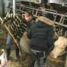 Internat Diapason Berufswahl