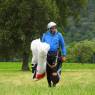 Stiftung YOU COUNT Botschafter Chrigel Maurer