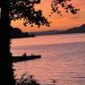 IMG_8384.HEIC_compressed.JPEG